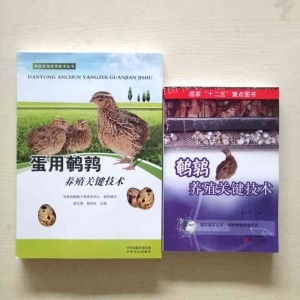 饲养怎么写