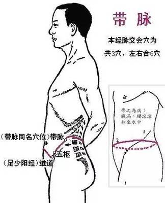 敲带脉减肥