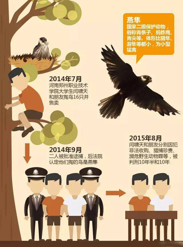 掏鸟窝判刑
