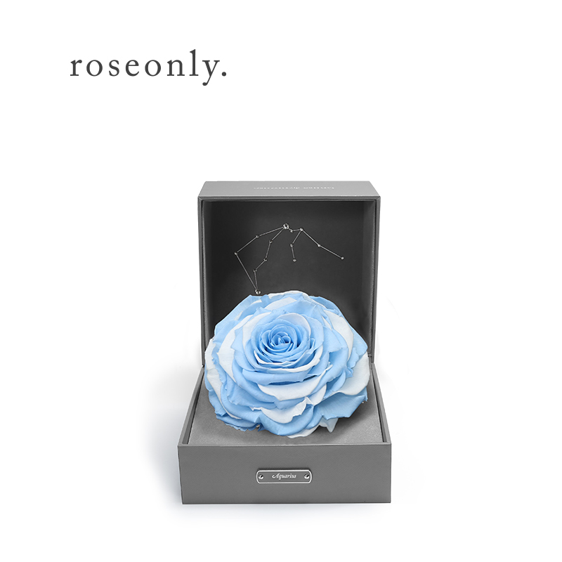 roseonly隶属什么公司