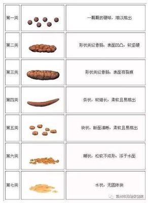 宝宝验大便怎么取样