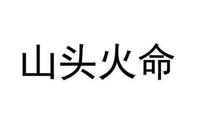 2016年是什么命