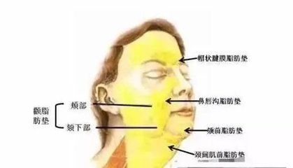 脸部麻是怎么回事