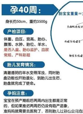 怀孕多久做一次产检