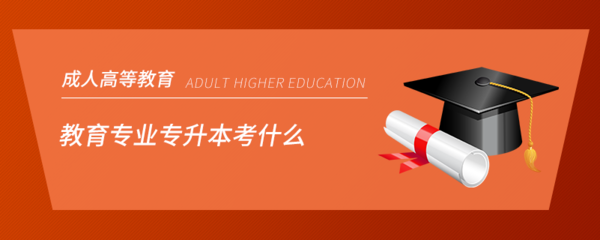 国家开放大学中文