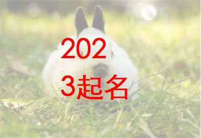 属兔宜取名字