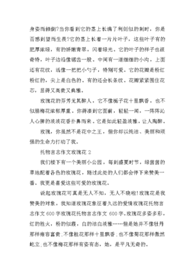 玫瑰的作文怎么做的