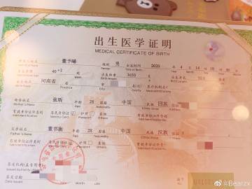 智五行属什么