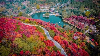 红叶谷旅游