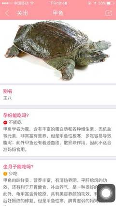 甲鱼宝宝能吃吗
