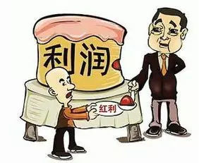 公司股东权益