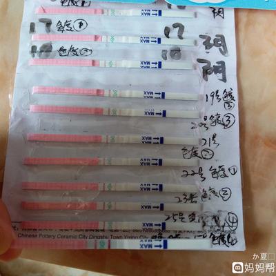 怎么用试纸测怀孕