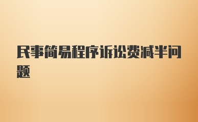 简易程序诉讼费
