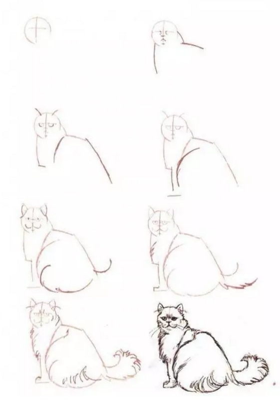 卡通猫简笔画图片_可爱的卡通猫 小猫简笔画