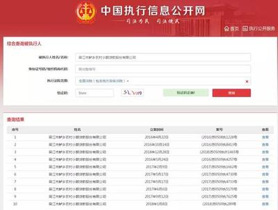 全国被执行人信息网
