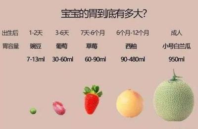八个月宝宝胃有多大