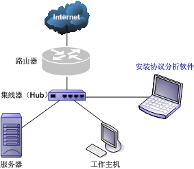 路由协议的功能