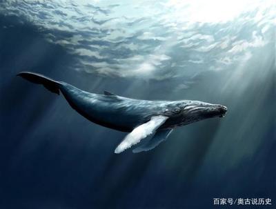 什么是鲛人油灯,古代皇帝用的是什么油?