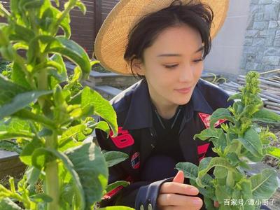 好听的菜地名字