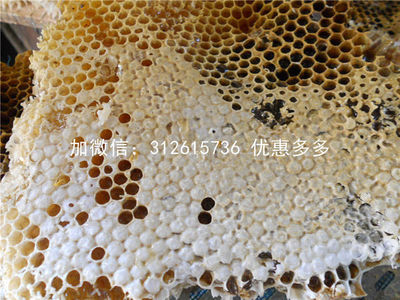 蜂蜜水擦脸能去痘痘吗