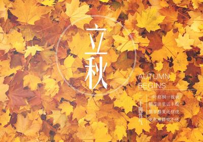 今年立秋是几月几号