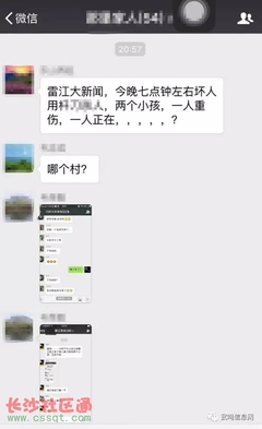 猪肉qq群
