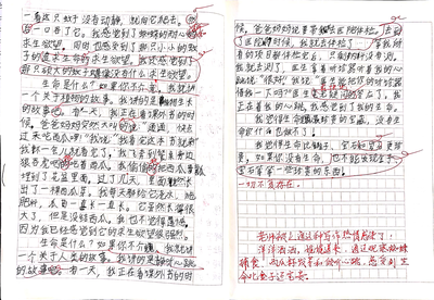 一件暑假开心的事作文400字作文怎么写