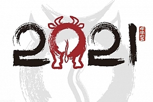 今年命运