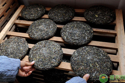 普洱茶怎样保存