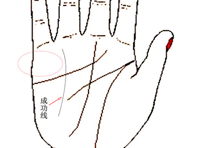 手相没有婚姻线