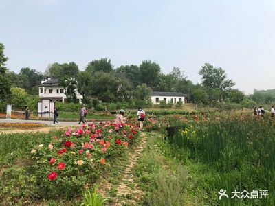 南京市栖霞区西岗街道