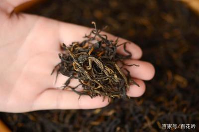 滇红茶属于什么茶