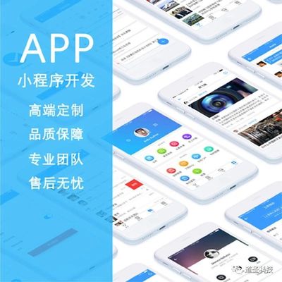 手机app软件开发