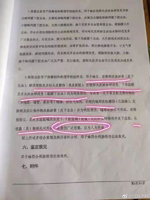 关于尸检的法律规定