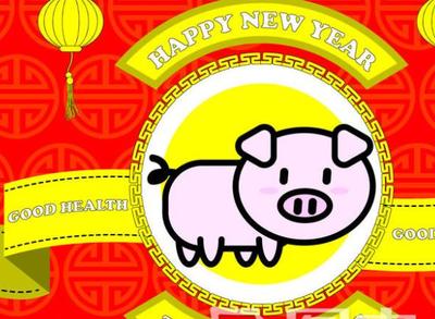 猪年2019年运势及运程