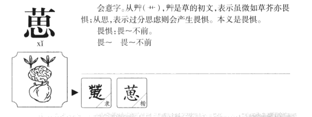 初字取名