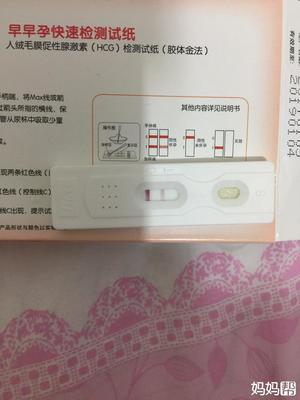 怀孕早早孕检测图片