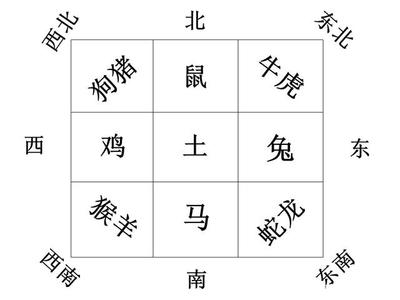 缺代表什么生肖
