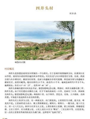 村的实体概况怎么写