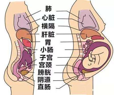 怀孕初期腹部有下坠感