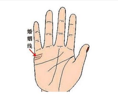 手相没有婚姻线
