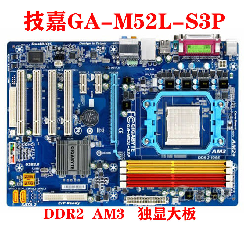 am2主板支持什么cpu