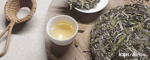 女性喝白茶的危害