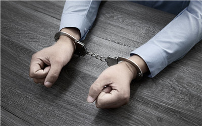 特殊犯罪主体