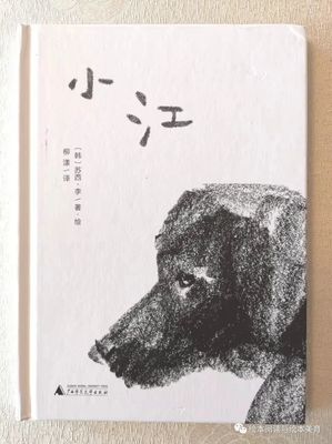黑狗起名字
