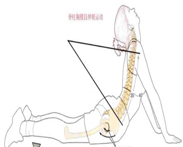 腰间盘突出压迫神经怎么治疗
