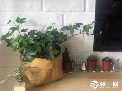 花盆怎么装饰好看