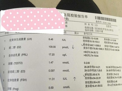 卵泡期 排卵期