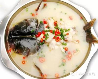 鱼茶的制作方法