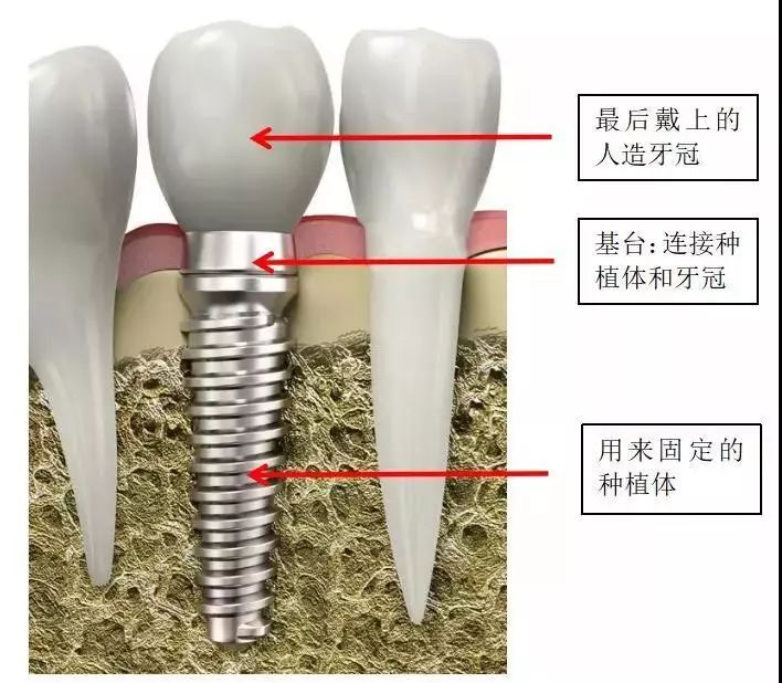 口腔内外科区别